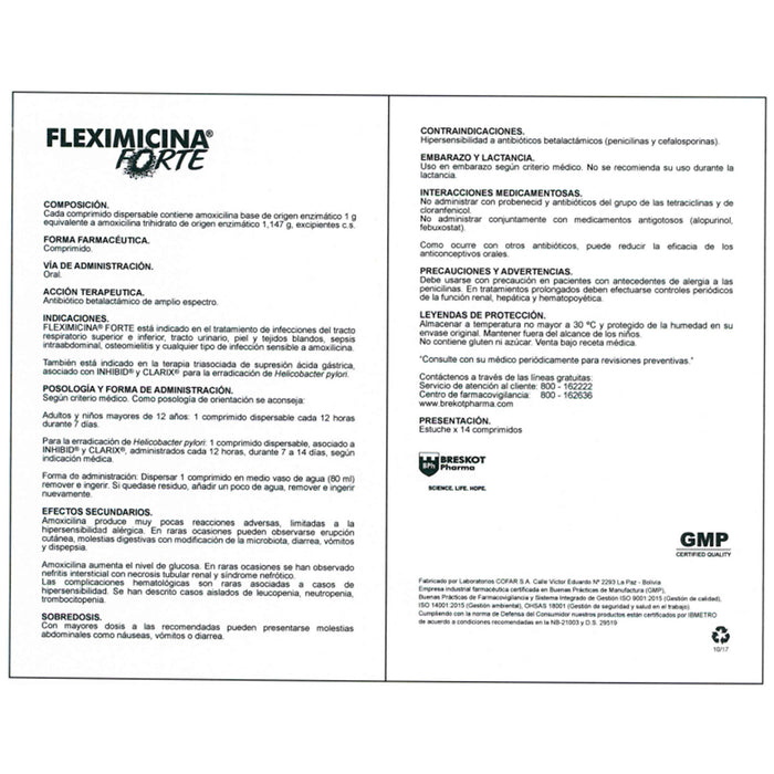 Fleximicina Forte 1G Amoxicilina X Tableta