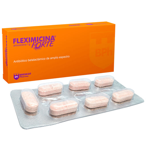 Fleximicina Forte 1Gr Amoxicilina X Tableta