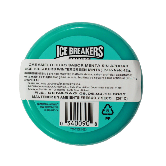 Ice Breakers Mints Wintergreen X 42G