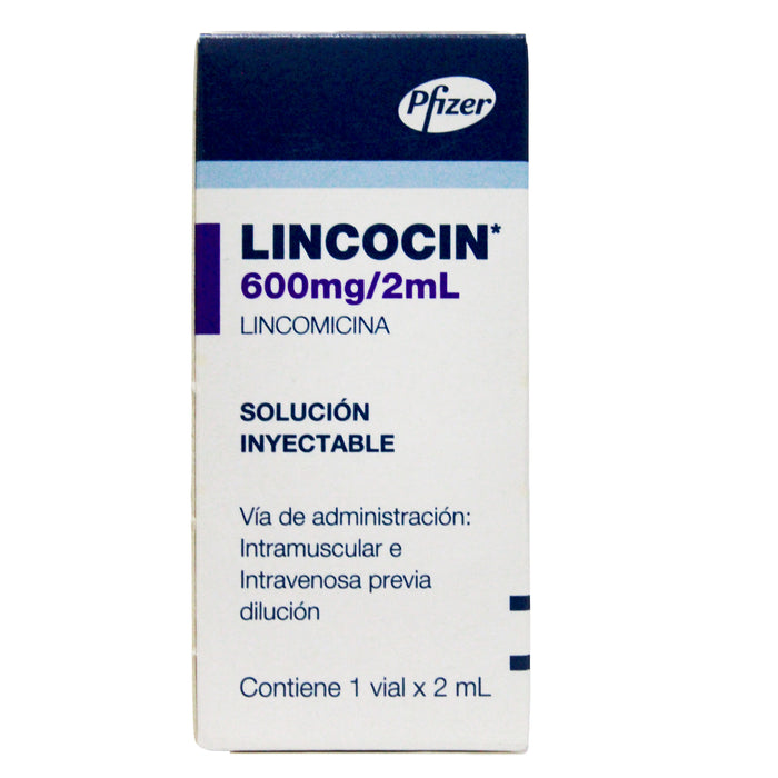 Lincocin Lincomicina 600Mg Y 2Ml X Ampolla