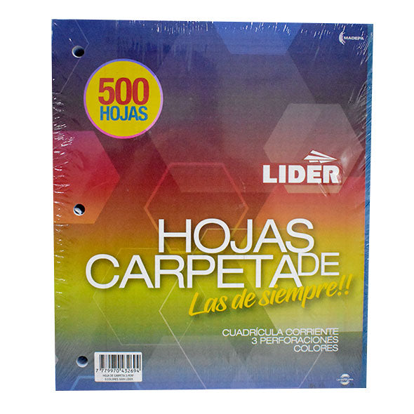 Hojas De Carpeta Paquete X 500 Lider
