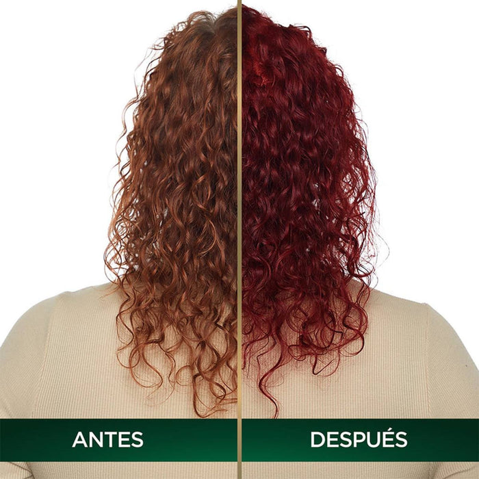 Tinte Garnier Nutrisse Oleos  Nro. 6.66 Rubio Rojizo