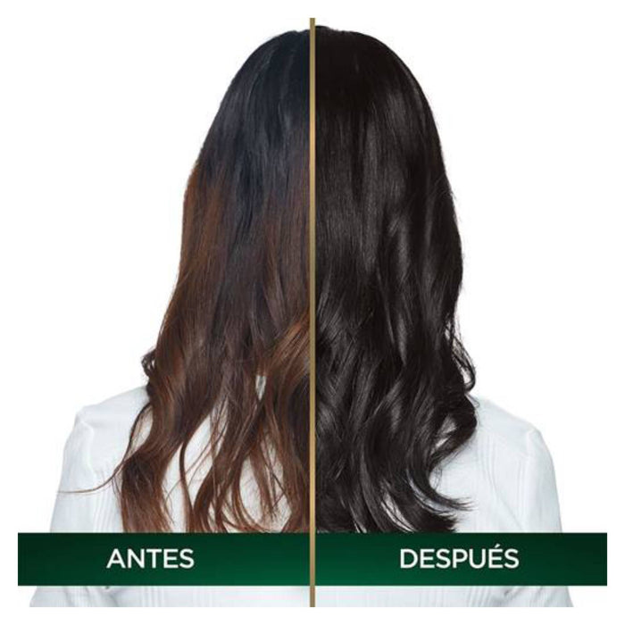 Garnier Nutrisse Oleos Tinte # 3 Castano Oscuro