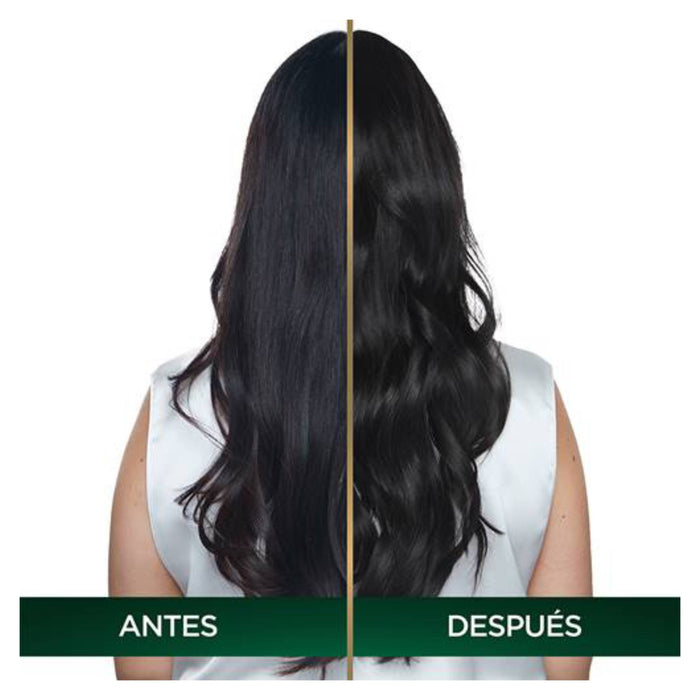 Garnier Nutrisse Oleos Tinte # 1 Negro