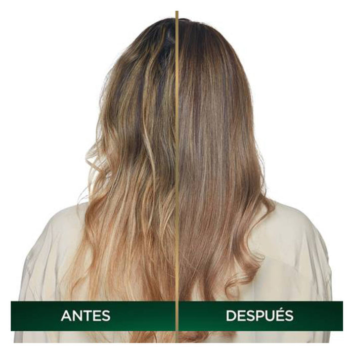 Garnier Nutrisse Oleos Tinte # 8.12 Rubio Claro