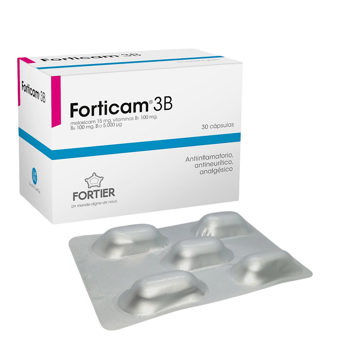 Forticam 3B Meloxicam/Vitamina B1 B6 B12 X Capsula