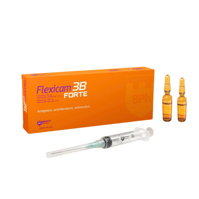 Flexicam 3B Forte X 2 Ampollas + Jeringa