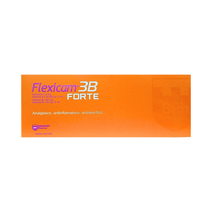 Flexicam 3B Forte X 2 Ampollas + Jeringa