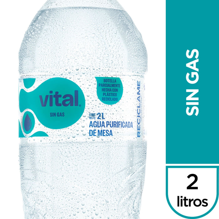 Agua Vital Sin Gas X 2 L