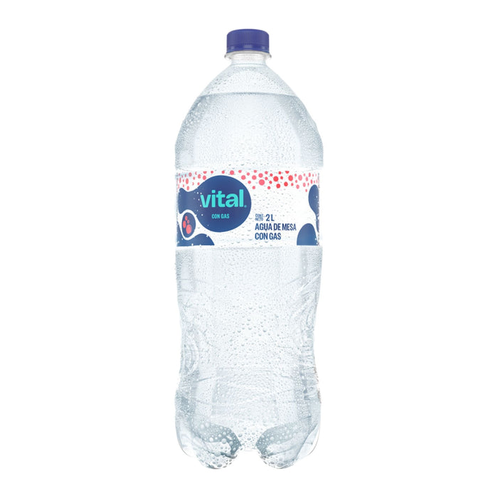 Agua Vital Con Gas X 2 L